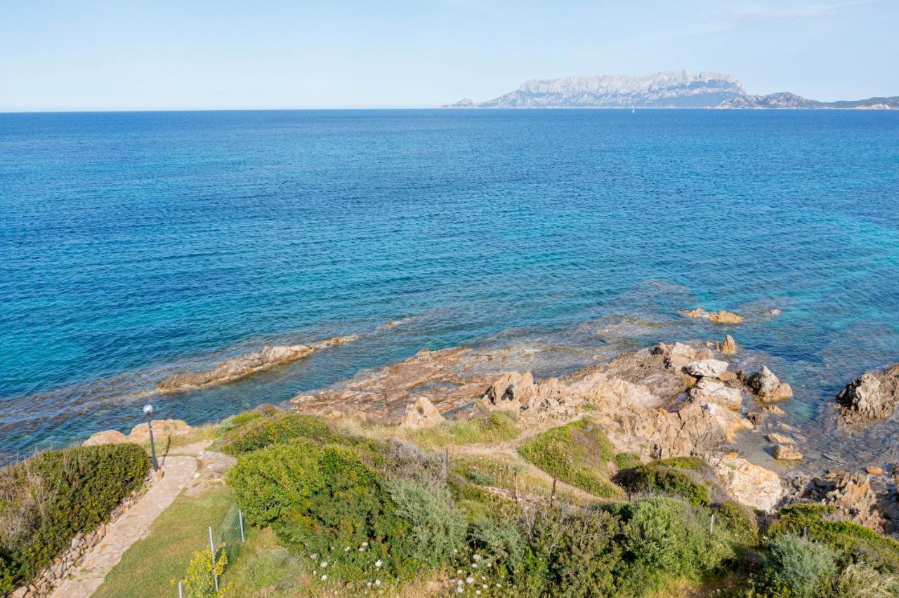 הוילה Pittulongu Casa Athena מראה חיצוני תמונה